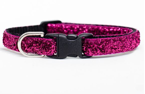 Pink, sparkly cat collar.