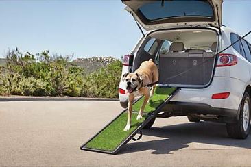 Photo of load bearing pet ramp with dog wallking down it.