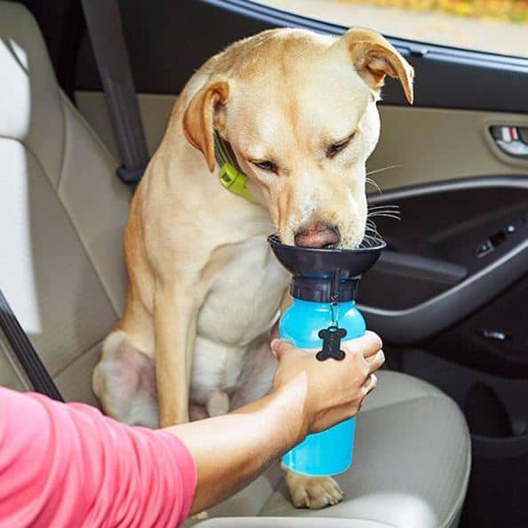 Photo with dog drinking out of Pet Travel Mug Water Bowl Bottle.