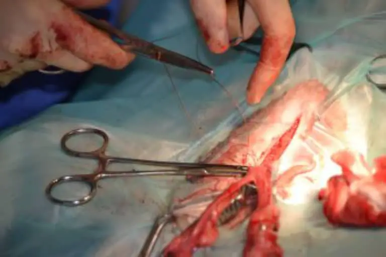 Spaying
